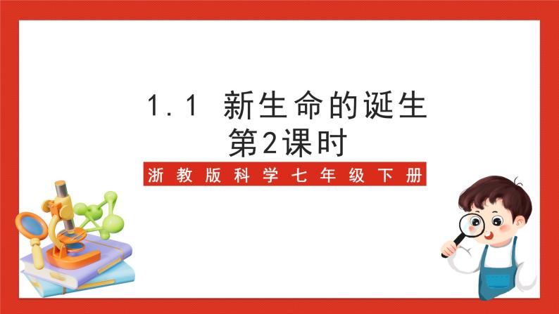 浙教版科学七年级下册1.1《新生命的诞生》第2课时 课件+练习01