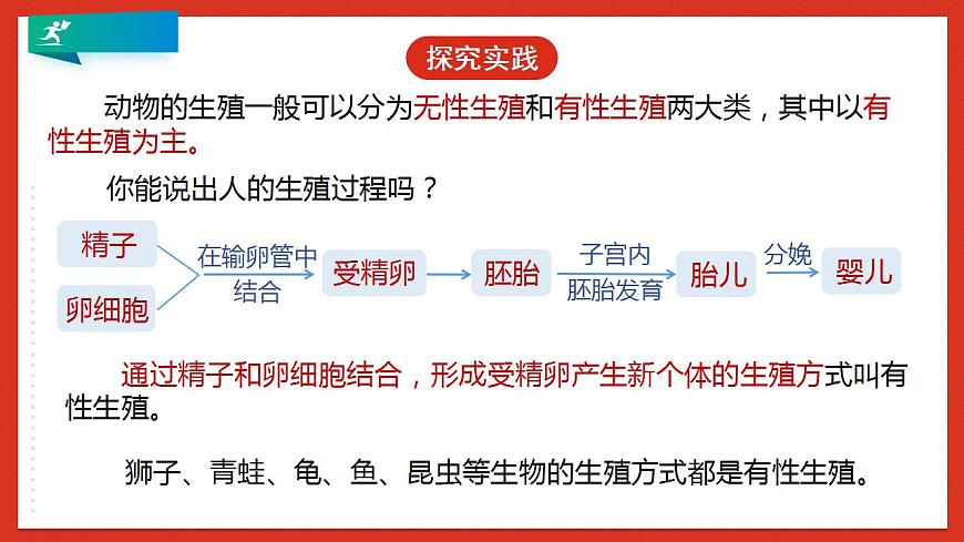 浙教版科學七年級下冊1.3《動物的生長時期》第2課時 課件第8頁