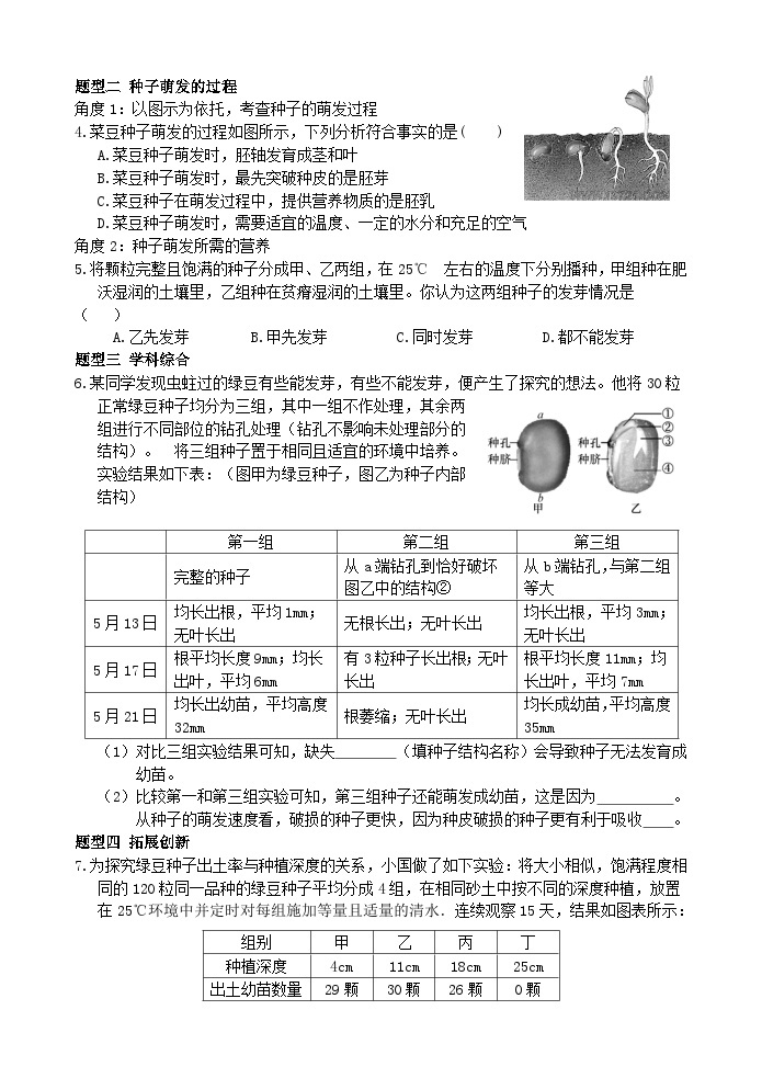 浙教版科学七年级下册1.4《植物的一生》第2课时 课件+练习02