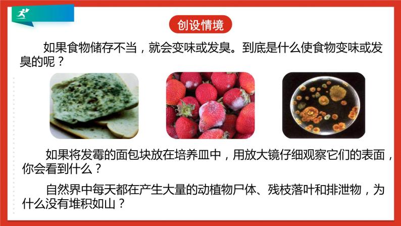 浙教版科学七年级下册1.6《细菌和真菌的繁殖》课件+练习06