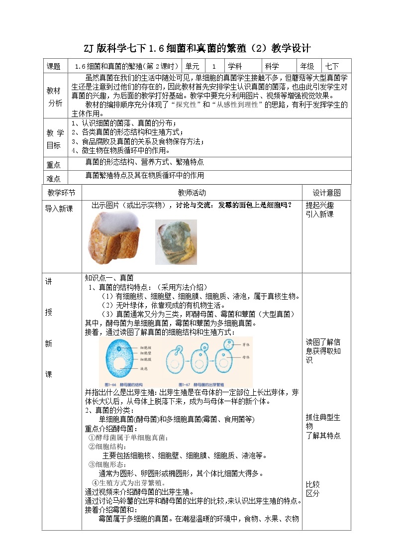 ZJ版科学七下1. 6细菌和真菌的繁殖（2）教学设计01