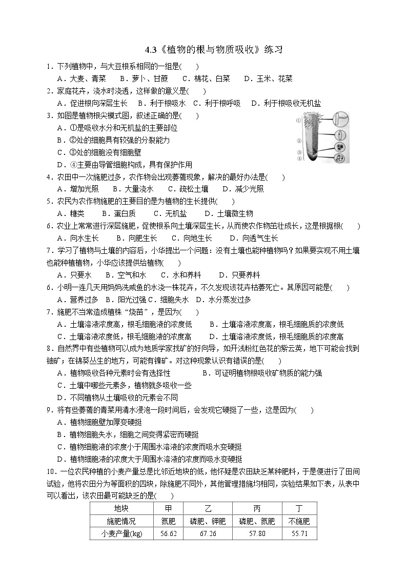 浙教版八年级下册科学4.3《植物的根与物质吸收》练习01