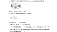 华师大版八年级下册1 磁现象第二课时同步测试题