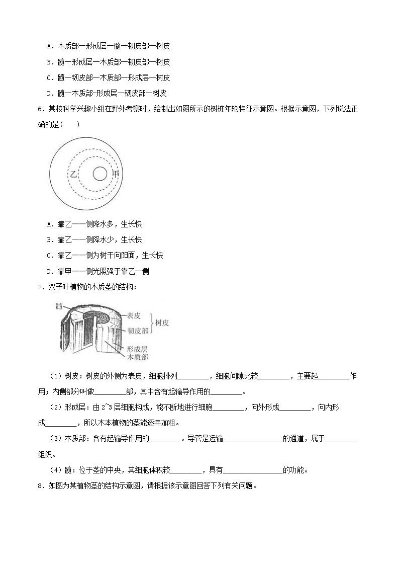 4.4植物的茎与物质的运输-八年级科学下学期课后培优分级练(浙教版)02