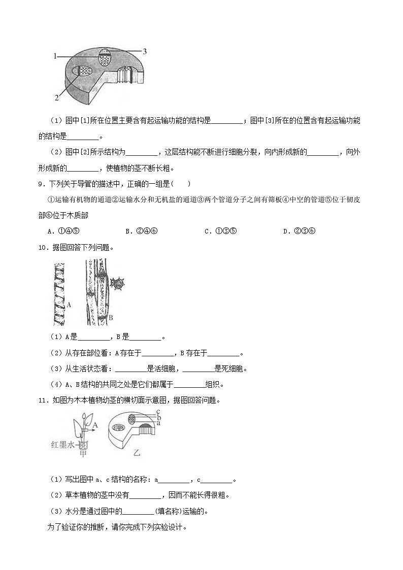 4.4植物的茎与物质的运输-八年级科学下学期课后培优分级练(浙教版)03