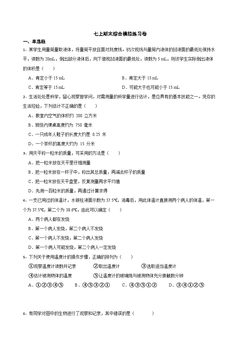 2023-2024学年浙教版科学七年级上册期末综合模拟练习卷01