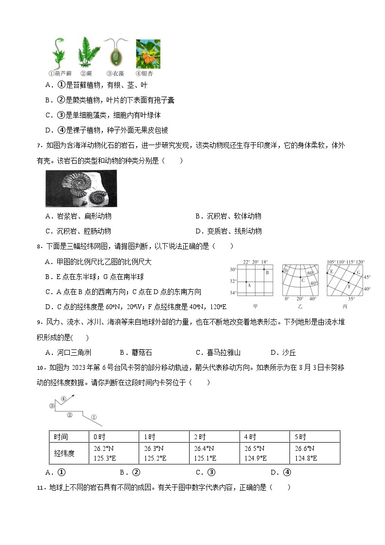 2023-2024学年浙教版科学七年级上册期末综合模拟练习卷02