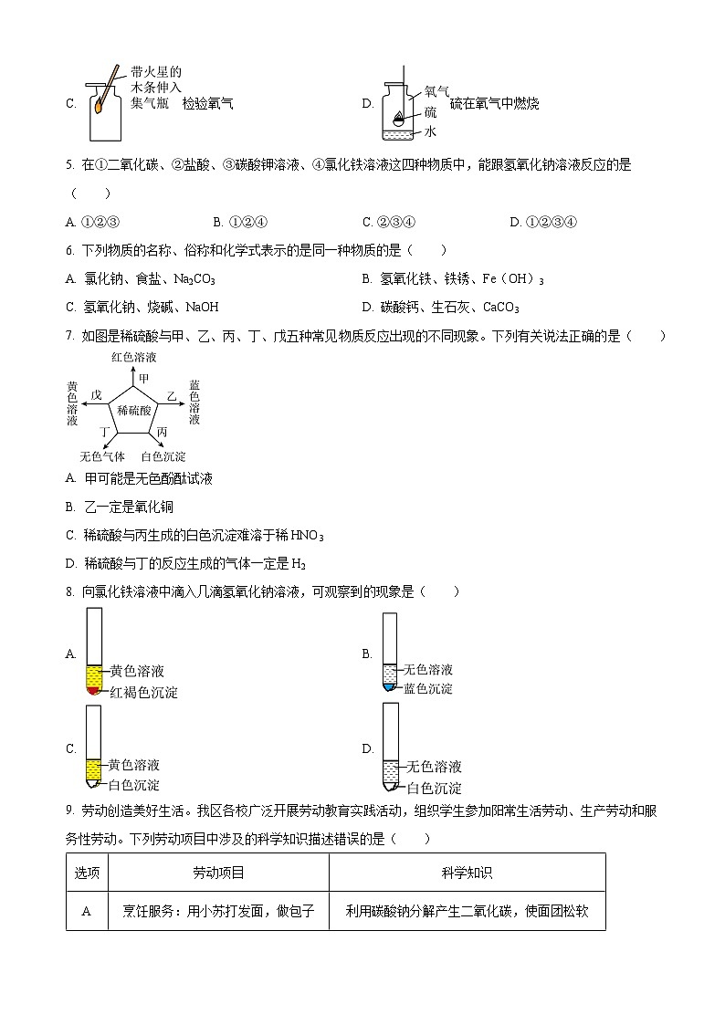 精品解析：浙江省寧波市江北區(qū)青藤書院2023-2024學年八年級上學期期中科學試卷（原卷版）第2頁