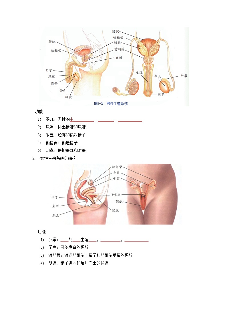1.1 新生命的诞生——2023-2024学年七年级下册科学高效讲与练(浙教版)02