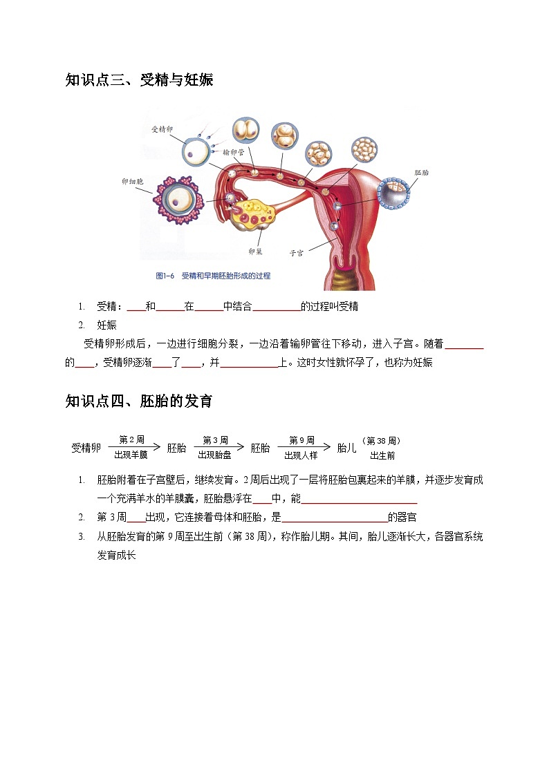 1.1 新生命的诞生——2023-2024学年七年级下册科学高效讲与练(浙教版)03