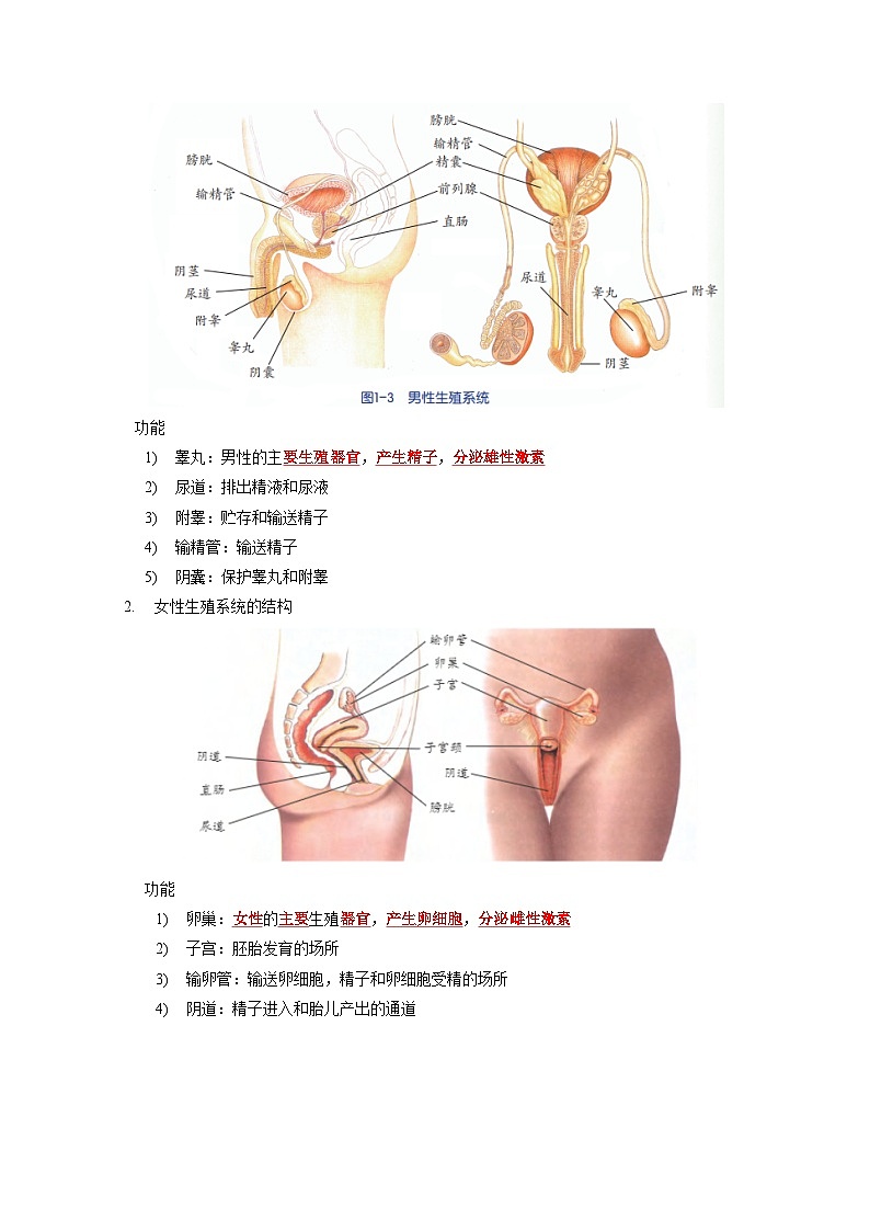 1.1 新生命的诞生——2023-2024学年七年级下册科学高效讲与练(浙教版)02