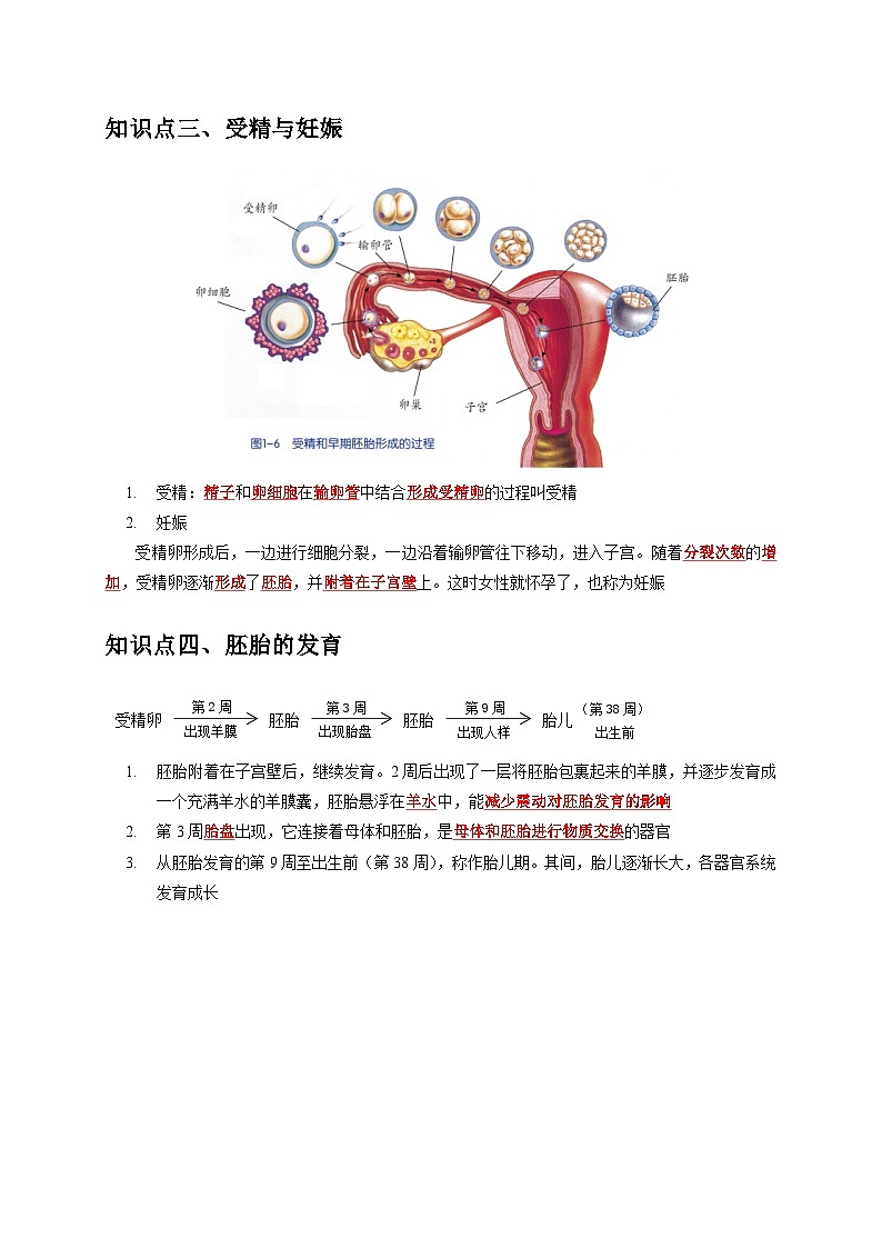 1.1 新生命的诞生——2023-2024学年七年级下册科学高效讲与练(浙教版)03