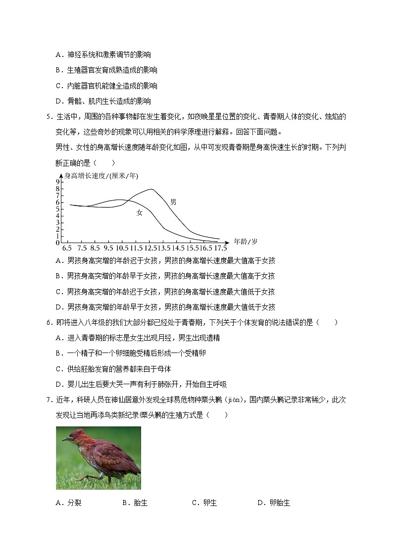 第1章《代代相传的生命》综合训练——2023-2024学年七年级下册科学高效讲与练(浙教版)02