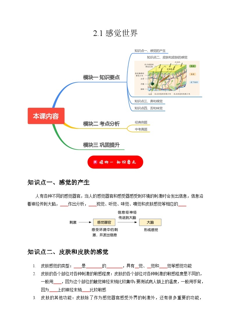 2.1 感觉世界——2023-2024学年七年级下册科学高效讲与练（浙教版）01