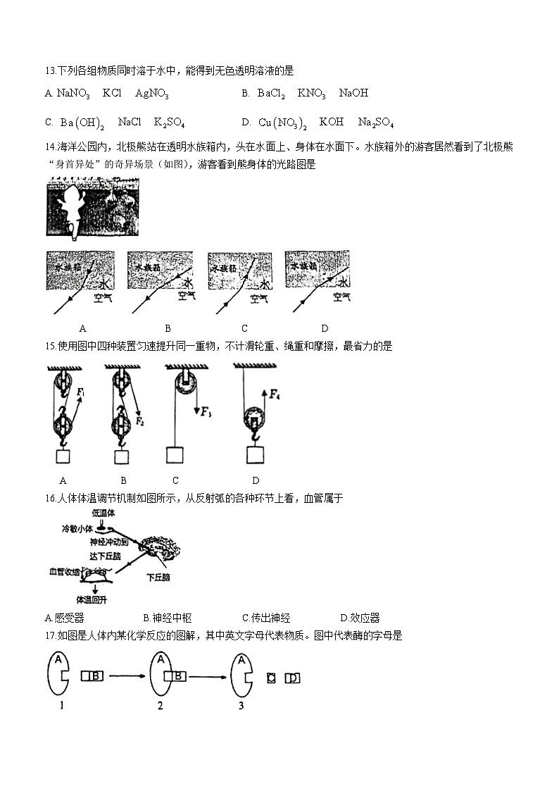 114,浙江省温州市实验中学2023-2024学年九年级下学期开学考试科学试题03
