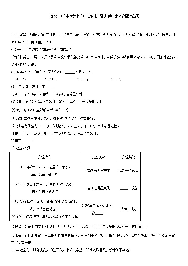 2024年中考化学二轮专题训练科学探究题(含答案)第1页