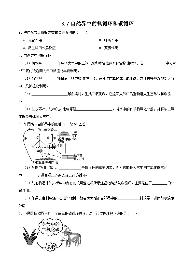 3.7自然界中的氧循环和碳循环-2022-2023学年八年级科学下学期课后培优分级练(浙教版)第1页