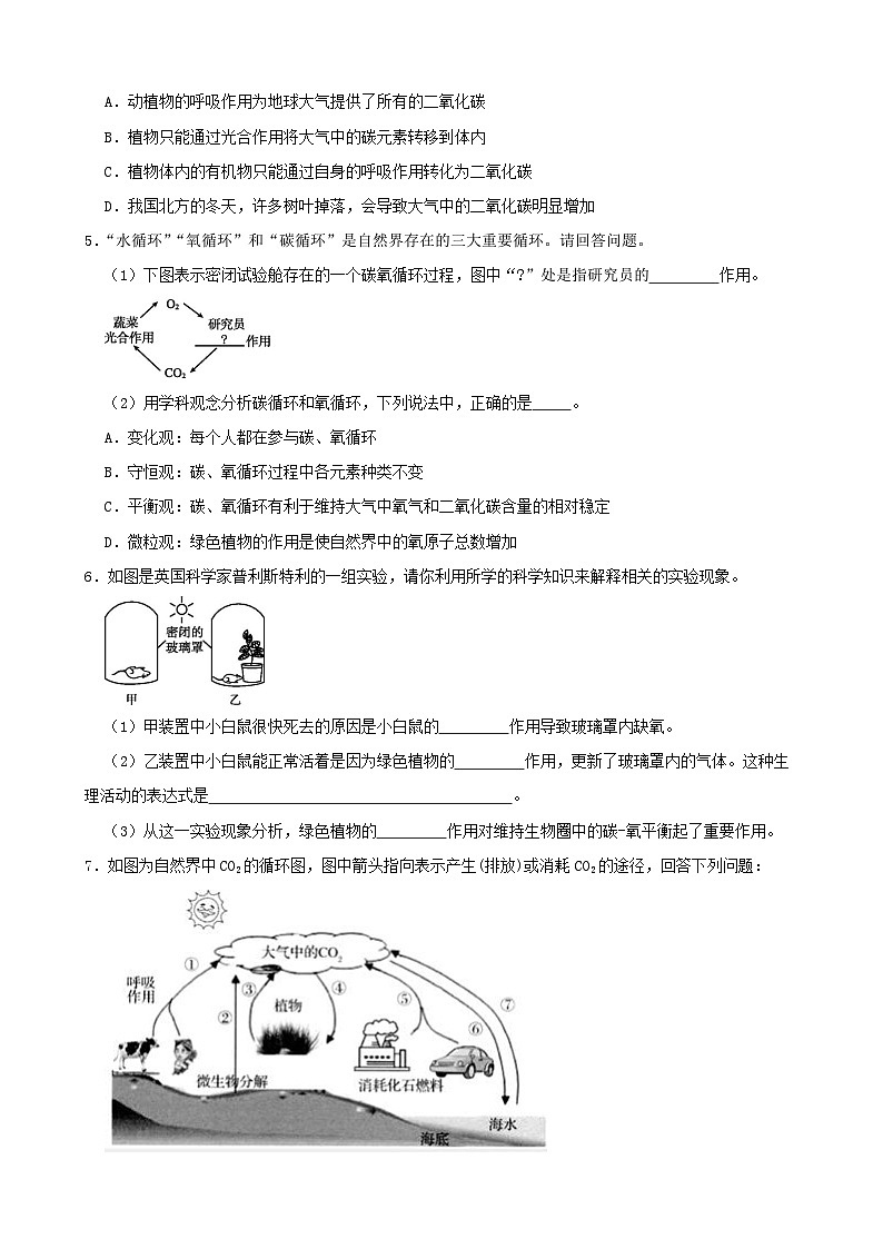 3.7自然界中的氧循环和碳循环-2022-2023学年八年级科学下学期课后培优分级练(浙教版)第2页