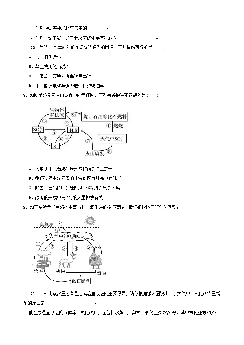 3.7自然界中的氧循环和碳循环-2022-2023学年八年级科学下学期课后培优分级练(浙教版)第3页
