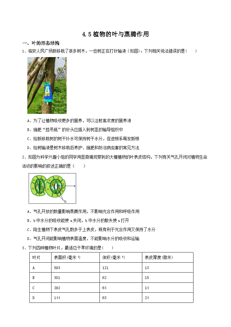 初中科学浙教版八年级下册第5节 植物的叶与蒸腾作用练习