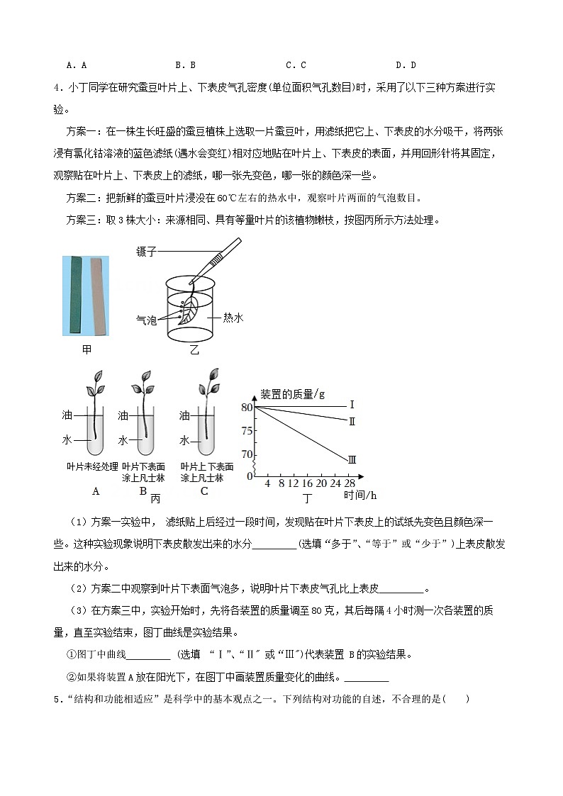 4.5植物的叶与蒸腾作用-2022-2023学年八年级科学下学期课后培优分级练(浙教版)第2页