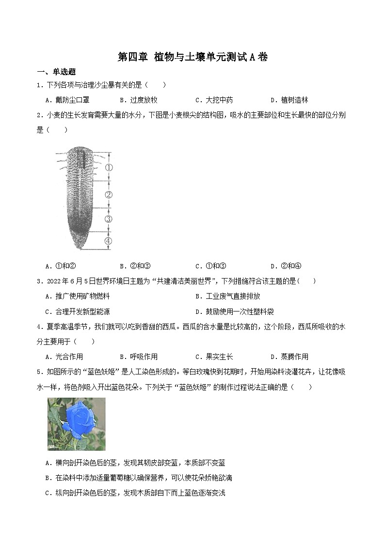第四章 植物與土壤單元測試A卷-2022-2023學(xué)年八年級科學(xué)下學(xué)期課后培優(yōu)分級練（浙教版）第1頁