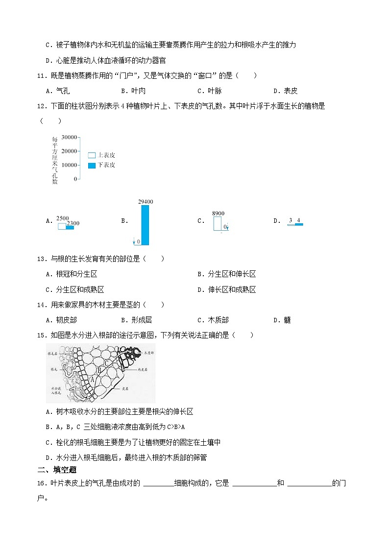 第四章 植物與土壤單元測試A卷-2022-2023學(xué)年八年級科學(xué)下學(xué)期課后培優(yōu)分級練（浙教版）第3頁