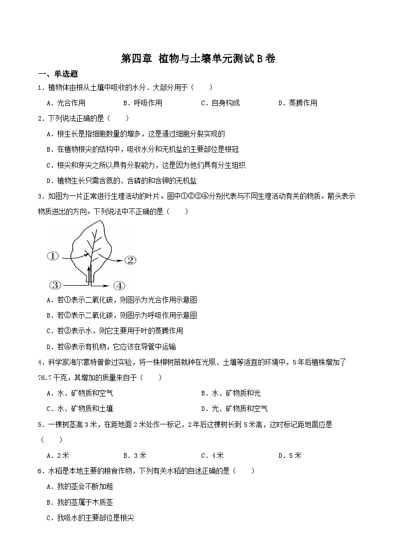 第四章 植物與土壤單元測試B卷-2022-2023學(xué)年八年級科學(xué)下學(xué)期課后培優(yōu)分級練（浙教版）第1頁