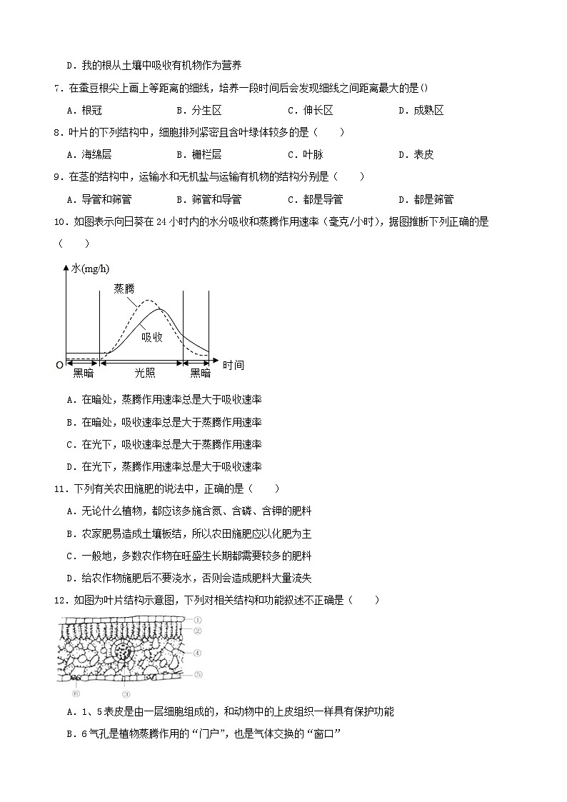 第四章 植物與土壤單元測試B卷-2022-2023學(xué)年八年級科學(xué)下學(xué)期課后培優(yōu)分級練（浙教版）第2頁
