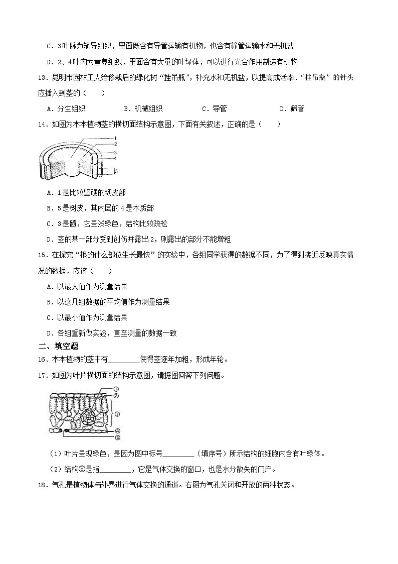 第四章 植物與土壤單元測試B卷-2022-2023學(xué)年八年級科學(xué)下學(xué)期課后培優(yōu)分級練（浙教版）第3頁