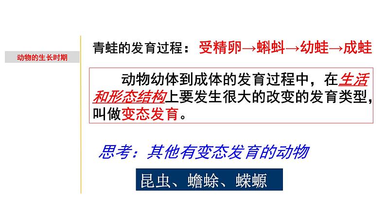 1.2 动物的生长时期-七年级科学下册知识点讲解与规律总结(浙教版)(PPT)06