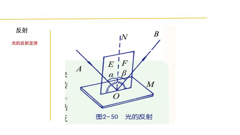 2.4 光的反射和折射-七年级科学下册知识点讲解与规律总结(浙教版)(PPT)第5页