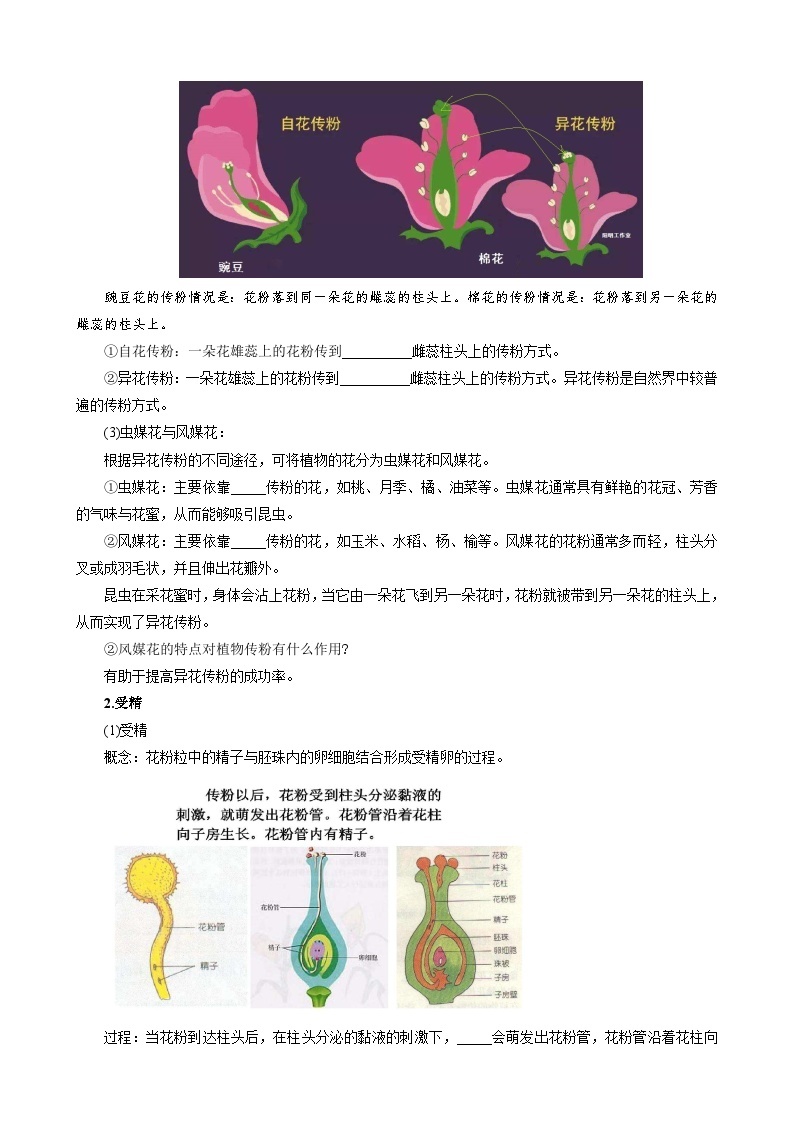 浙教版七下1.5 植物生殖方式的多样性 学案（知识精讲+典型例题+巩固训练）02