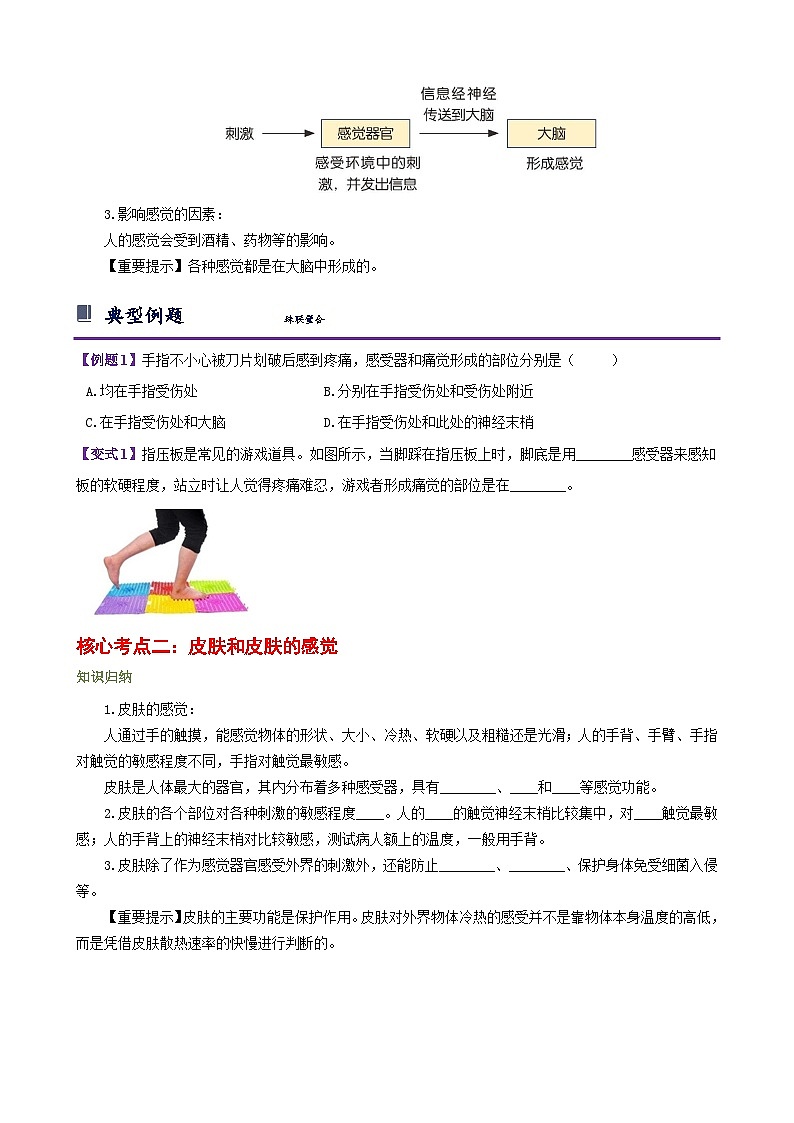 浙教版七下2.1 感觉世界 学案(知识精讲+典型例题+巩固训练)02
