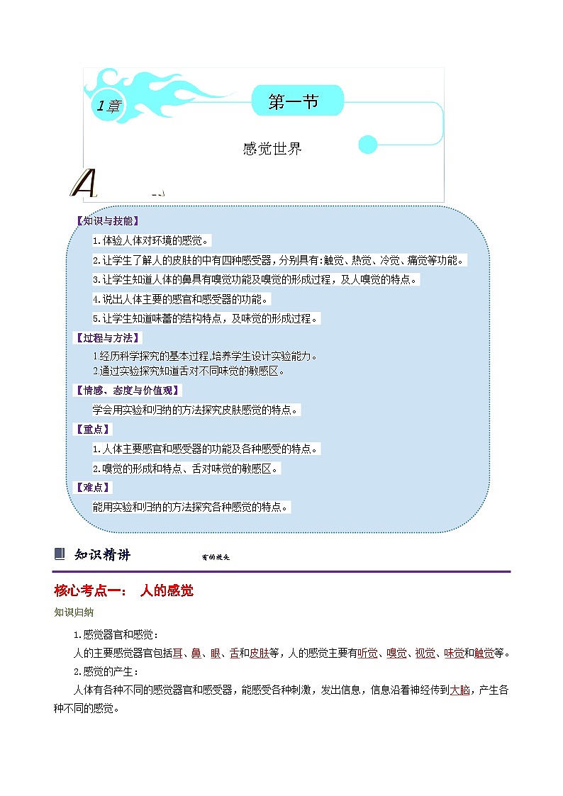 浙教版七下2.1 感觉世界 学案(知识精讲+典型例题+巩固训练)01