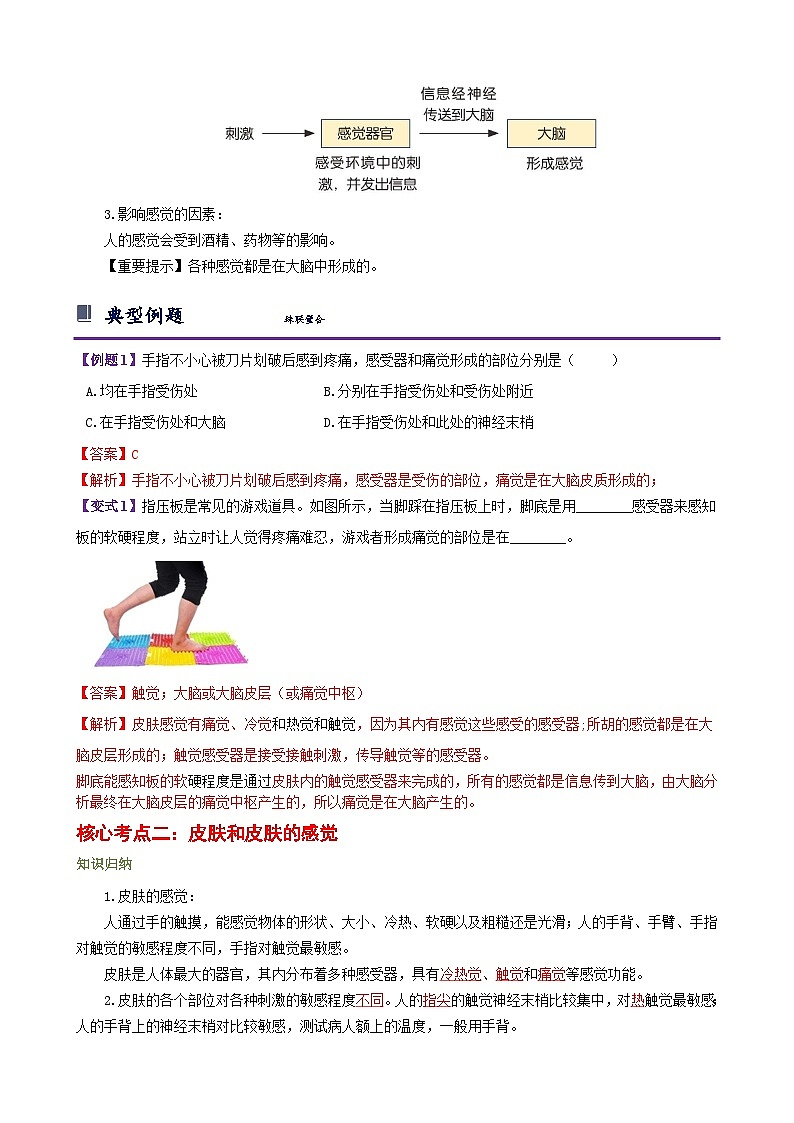 浙教版七下2.1 感觉世界 学案(知识精讲+典型例题+巩固训练)02
