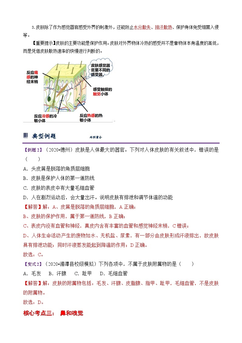 浙教版七下2.1 感觉世界 学案（知识精讲+典型例题+巩固训练）03