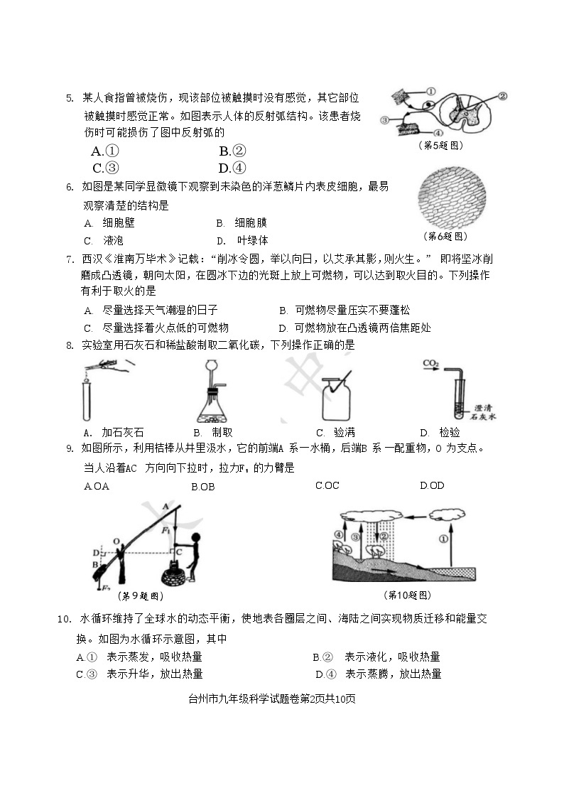 【科学】2024年台州市中考科学一模卷（含答案）_Word版02