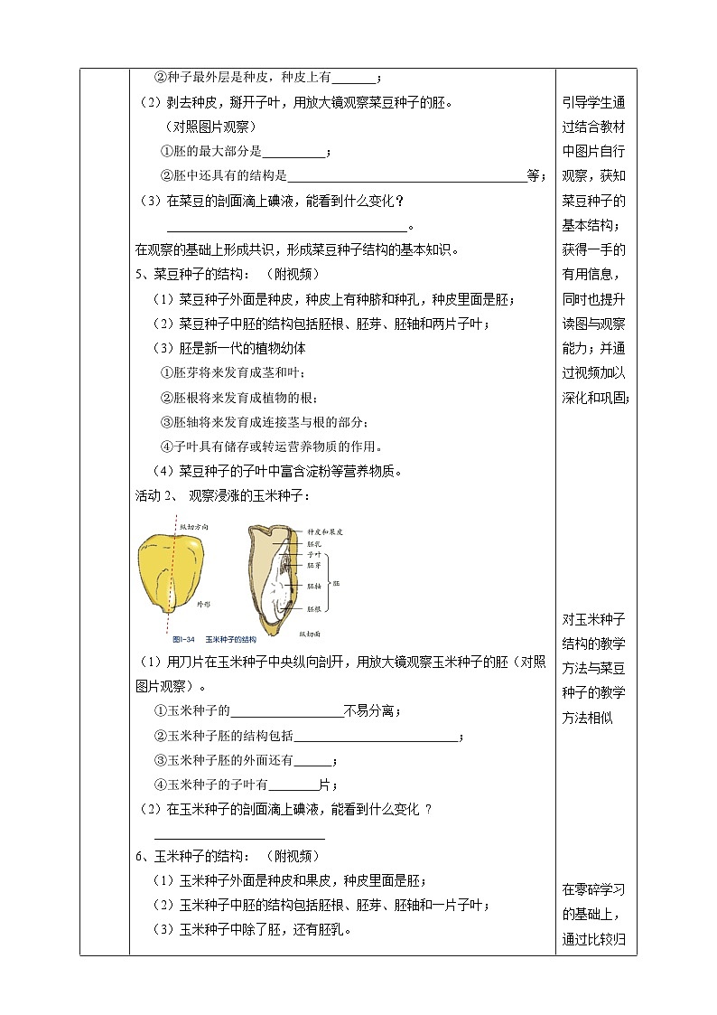1.4植物的一生 教學(xué)設(shè)計(jì) 浙教版科學(xué)七年級(jí)下冊(cè)第3頁(yè)