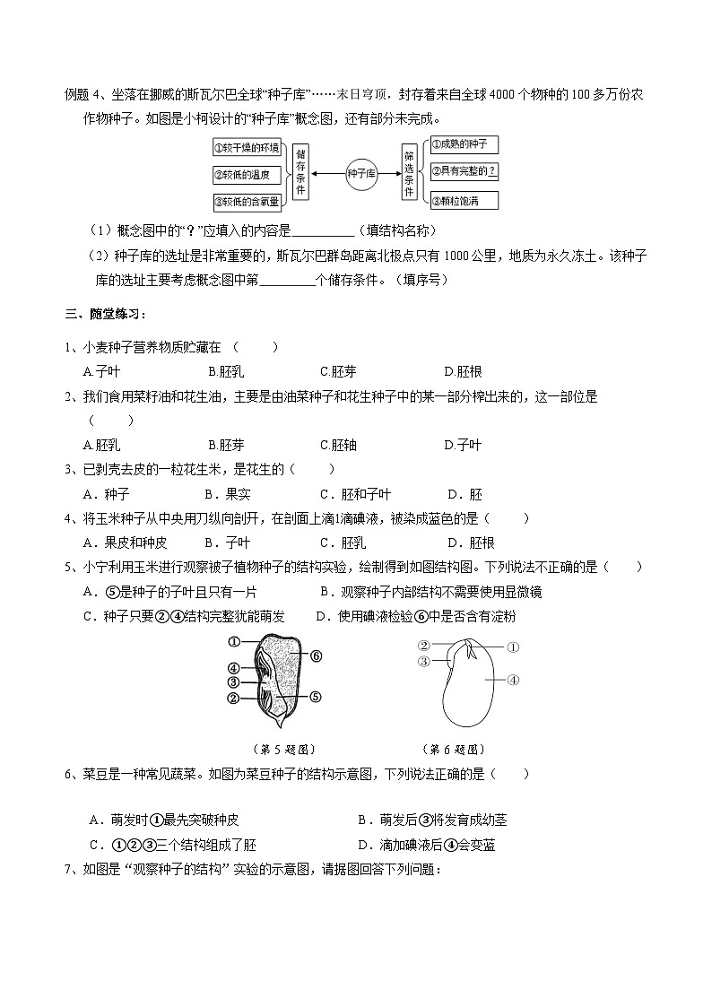 1.4植物的一生 學(xué)案    浙教版科學(xué)七年級(jí)下冊(cè)第2頁(yè)