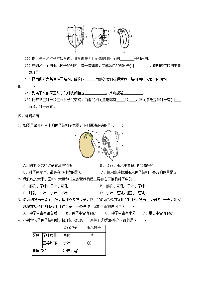 1.4植物的一生 學(xué)案    浙教版科學(xué)七年級(jí)下冊(cè)第3頁(yè)