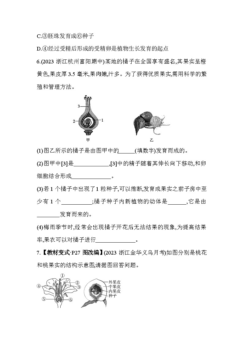 1.5植物生殖方式的多样性 第1课时同步练习浙教版七年级下册科学第3页