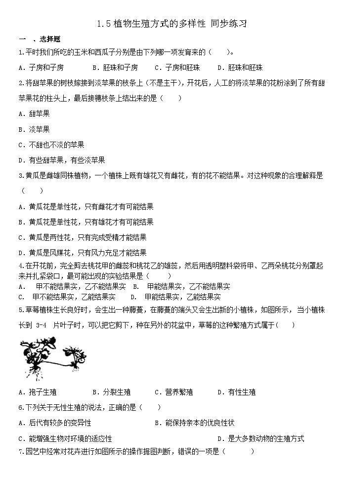1.5植物生殖方式的多样性 同步练习浙教版七年级下册科学第1页