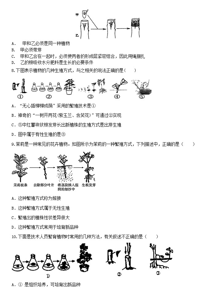 1.5植物生殖方式的多样性 同步练习浙教版七年级下册科学第2页