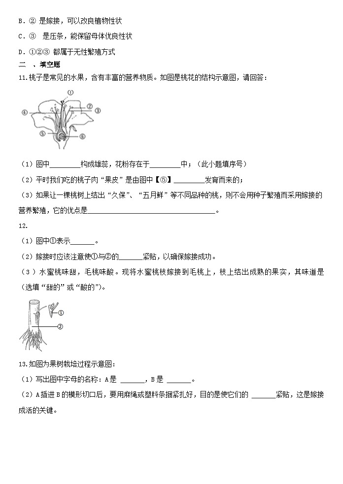 1.5植物生殖方式的多样性 同步练习浙教版七年级下册科学第3页