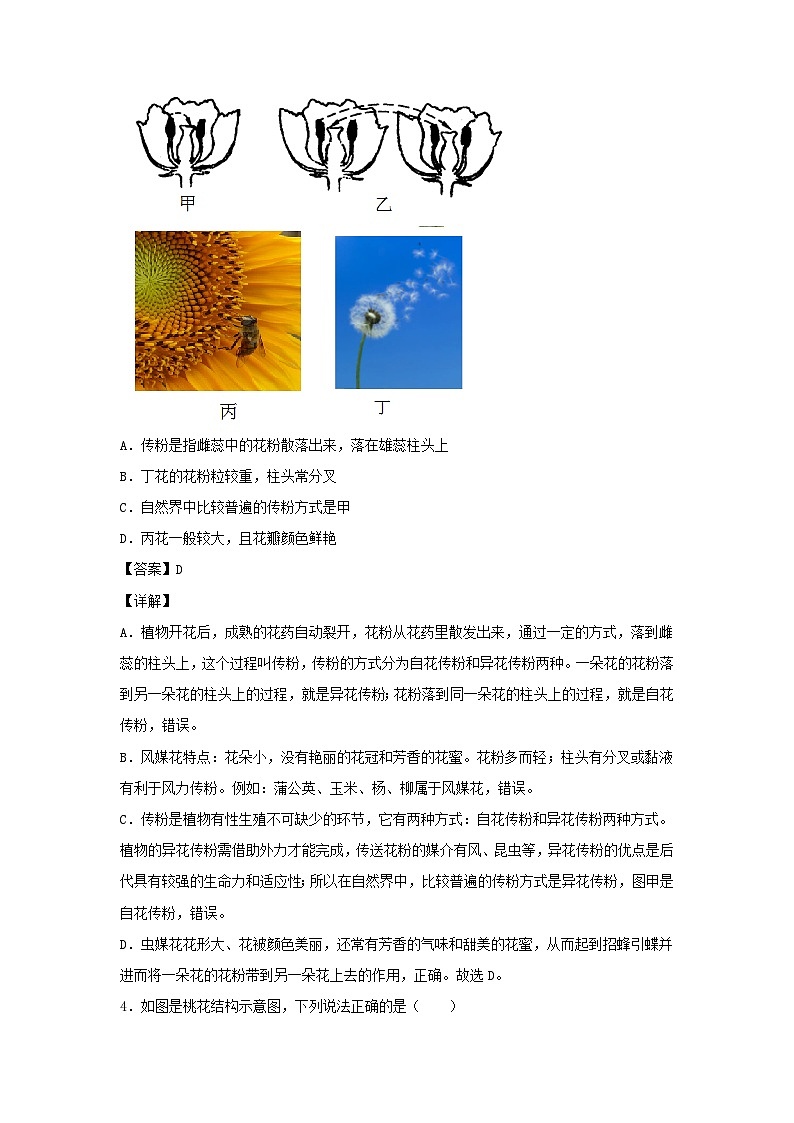2022-2023學(xué)年七年級下冊科學(xué)第一章第四節(jié)測試卷及答案浙教版第2頁