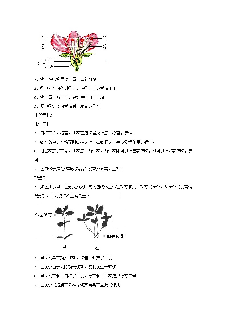 2022-2023學(xué)年七年級下冊科學(xué)第一章第四節(jié)測試卷及答案浙教版第3頁