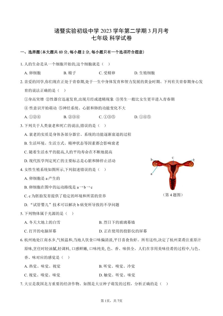 浙江省绍兴市诸暨市实验初级中学2023-2024学年七年级下学期3月月考科学试卷