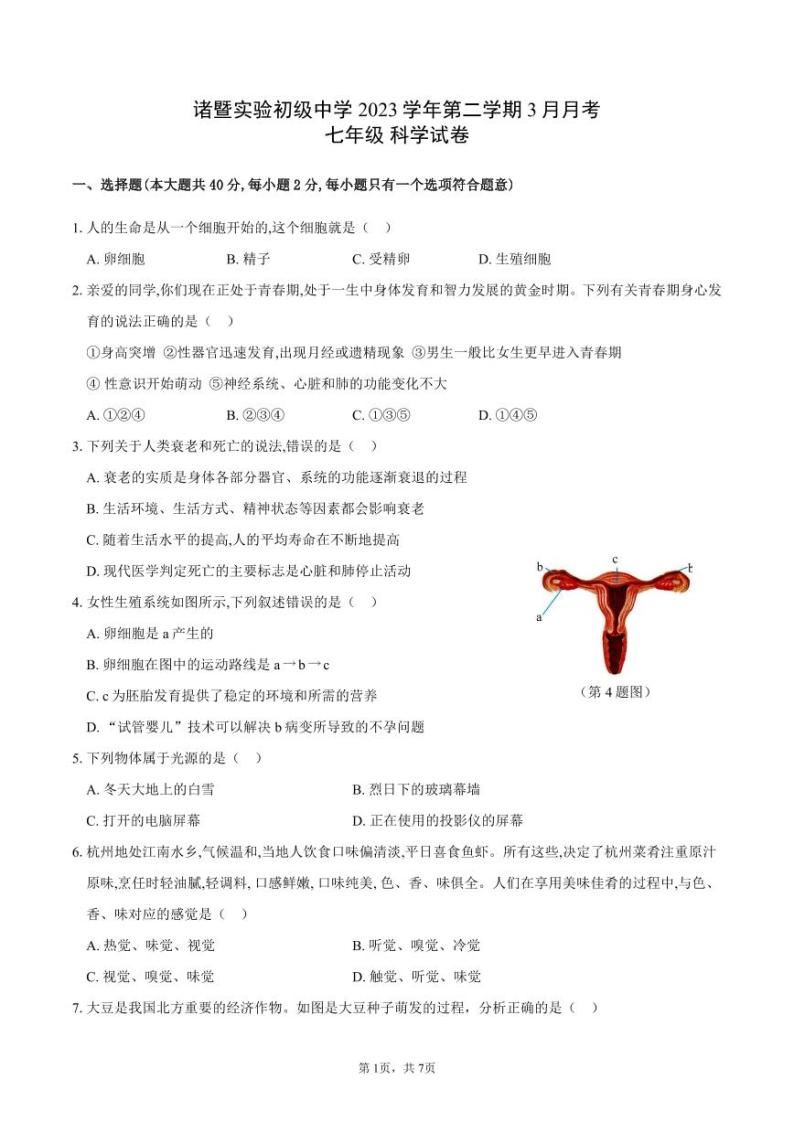 浙江省绍兴市诸暨市实验初级中学2023-2024学年七年级下学期3月月考科学试卷01