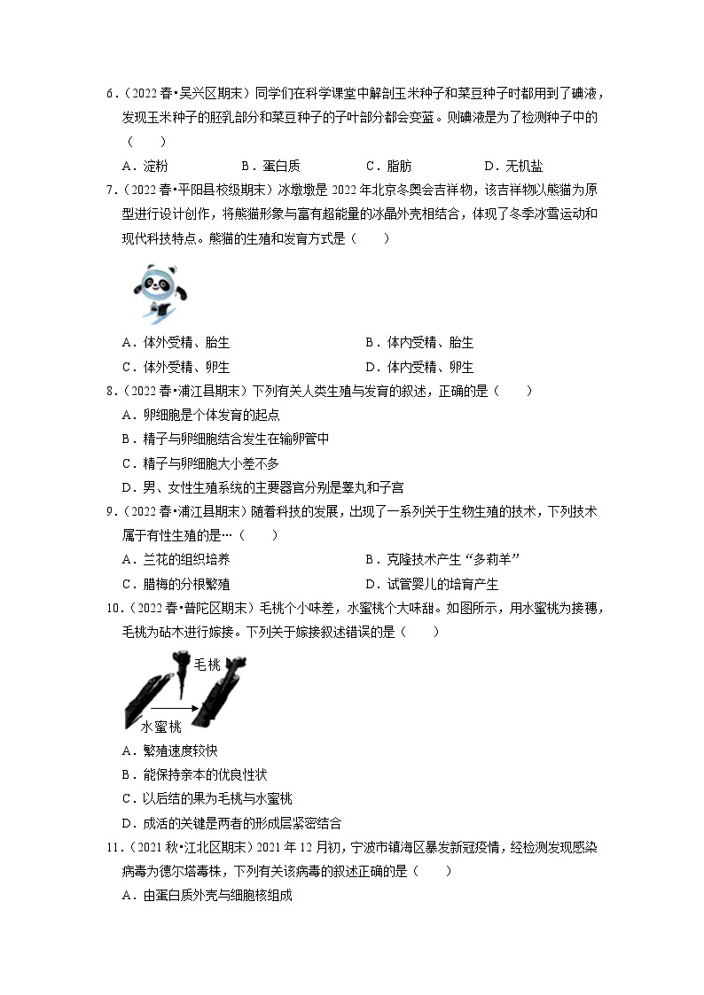 浙教版七年级科学下册期末专项训练  2代代相传的生命（二）02